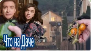 САМВЕЛ АДАМЯН, ГАРИК И КЕРРИ, ЧТО НАС ОЖИДАЛО, ПРИЕХАЛИ НА ДАЧУ.