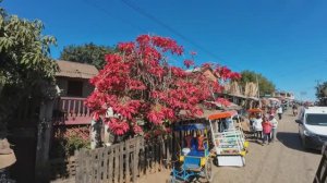 Мадагаскар часть 12. #Мадагаскар #путешествие #приключения #остров