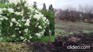 земельный участок на Раздолье