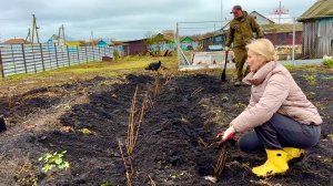 НАВОДИМ УЮТ В ДОМЕ/50 КУСТОВ СМОРОДИНЫ И ГРУДИНКА ПО-ДОМАШНЕМУ