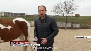 План по вакцинации животных в Ленинском районе выполнили на 90%