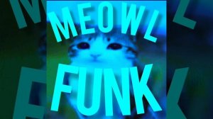 XLXR & DJ Geometric - MEOWL FUNK (Official Audio)