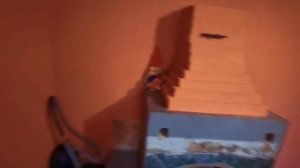 Дом хутор в Лосево