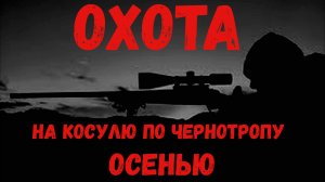 Охота на косулю по чернотропу осенью в сибирской тайге.