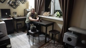 2026 ГОД ПОЧТИ ЗА ОКНОМ Почему поставил ёлку в ноябре ПОДВАЛ ИЛЬИЧА ЧИТАЮ КОММЕНТАРИИ