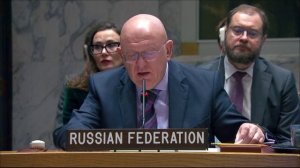 Statement by Vassily Nebenzia at UNSC Briefing on Syria