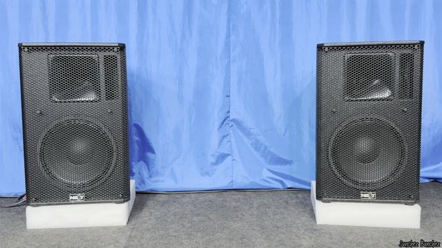 Концертные колонкимониторы NEXT X 12