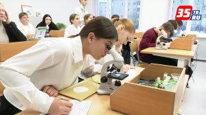 Классы для одаренных детей открыты в 4-х школах Череповца