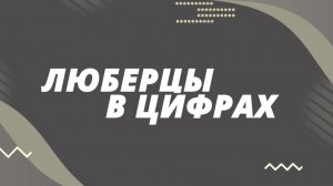 Люберцы в цифрах. Общество