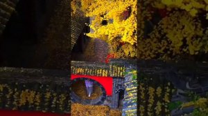 Один - Цырульников Сергей