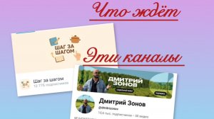 Всё в кучу. Расклад на каналы Шаг за шагом и Дмитрий Зонов. Что ждёт эти каналы