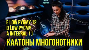 Каатон многонотник - Тройной обзор: Каатон D LOW Pygmy 11, A Integral 11, E LOW Pygmy 11