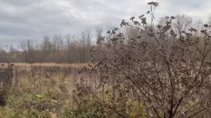 пос. Хорлово, Промплощадка западная, участок 8-а