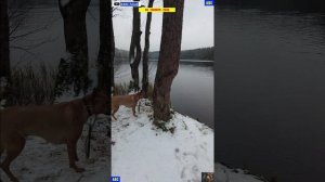 Послание пацанам без бантиков 20.11.2025 #юныйпрадедбодрыйдед