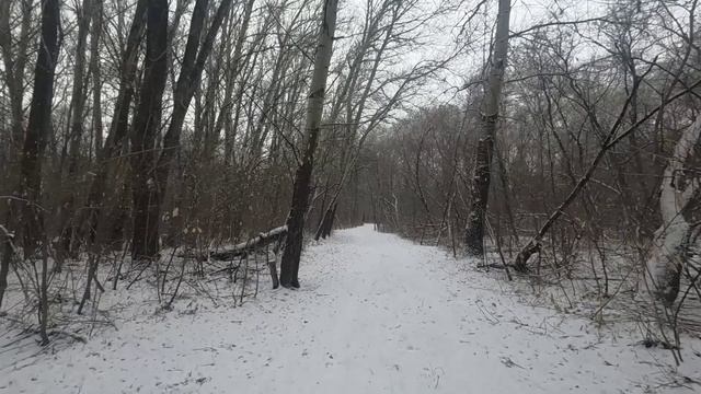 Снежною тропкой.😊