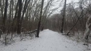 Снежною тропкой.😊