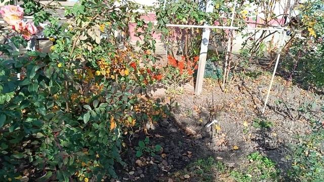 20.11.25.  Динская. Краснодарский край смотреть онлайн