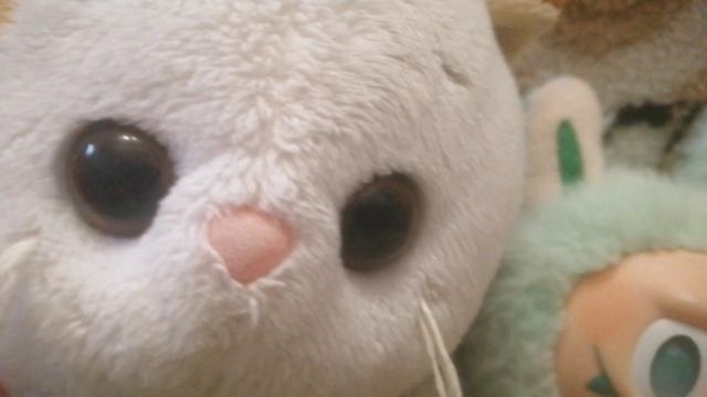 Кошечка Лили теперь на моём канале!