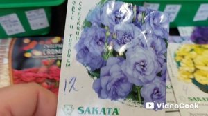 Результат всхожести и развития эустомы.Отчёт 🌼🌸👍