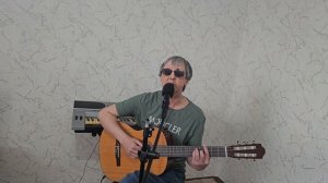 Жуки "ПОЛОСА". Кавер. Исполняет Вадим Хусаинов.