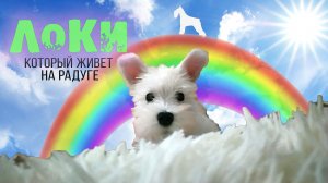 Малыш, живущий на радуге | История ЛОКИ