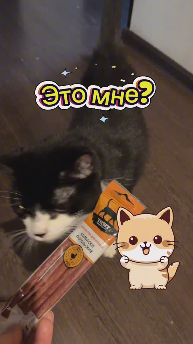 Дневник #НаНоРайМо 2025, день 19. #nanowrimo #писательство #написать_книгу_за_месяц