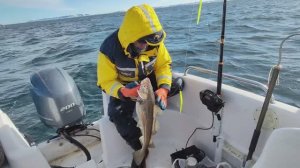 Настоящая морская рыбалка в Баренцевом море. Ловля Трески. Отдых и развлечения в Мурманске.