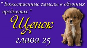 25) Щенок