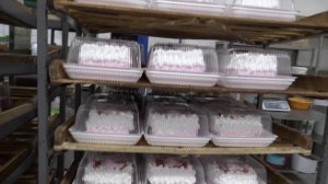 Сладкий бизнес Амурска: Как Андрей Тураев покоряет вкусы и справляется с вызовами