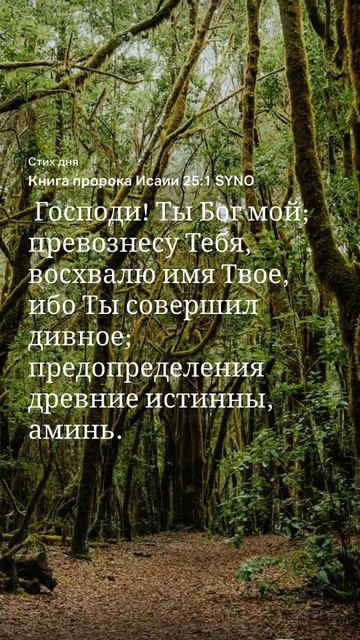 #Слово на 14.11 #Библия #Исаии смотреть онлайн