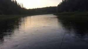 Борус 2018 часть 1