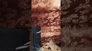 а̤̮с̤̮м̤̮р̤̮