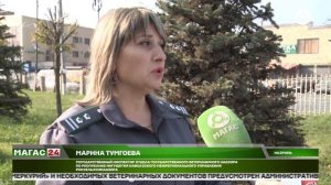 Контроль качества: специалисты россельхознадзора проверяют мясо в общепите