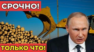 СРОЧНО! РОССИЯ ВЫРУБАЕТ ЛАТВИЮ! Экспорт леса полностью перекрыт в ответ на санкции!