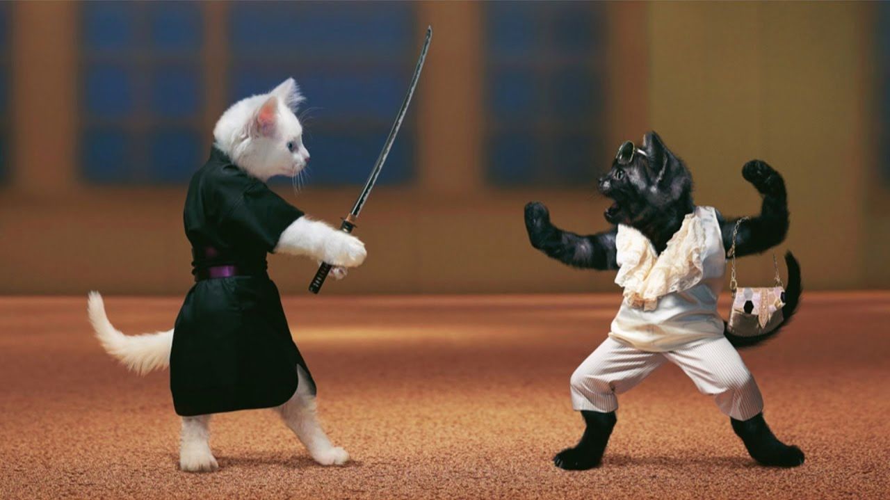 - БИТВА ТИТАНОВ; С ОЗВУЧКОЙ; Приколы с котами;  Самые смешные животные;