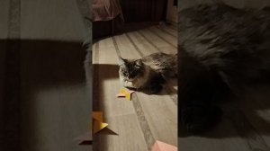 Тутор на сюрикен из бумаги (запуск не получился)