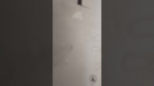 делаю бумажную собачку часть первая ❤️🌈☺️