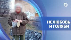 Тагильчанка устроила голубиную столовую посреди Вагонского двора