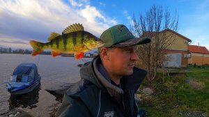 КРУПНЫЕ ОКУНИ! РАЗ в ЖИЗНИ такая рыбалка бывает! ДОМ МЕЧТЫ РЫБАКА!