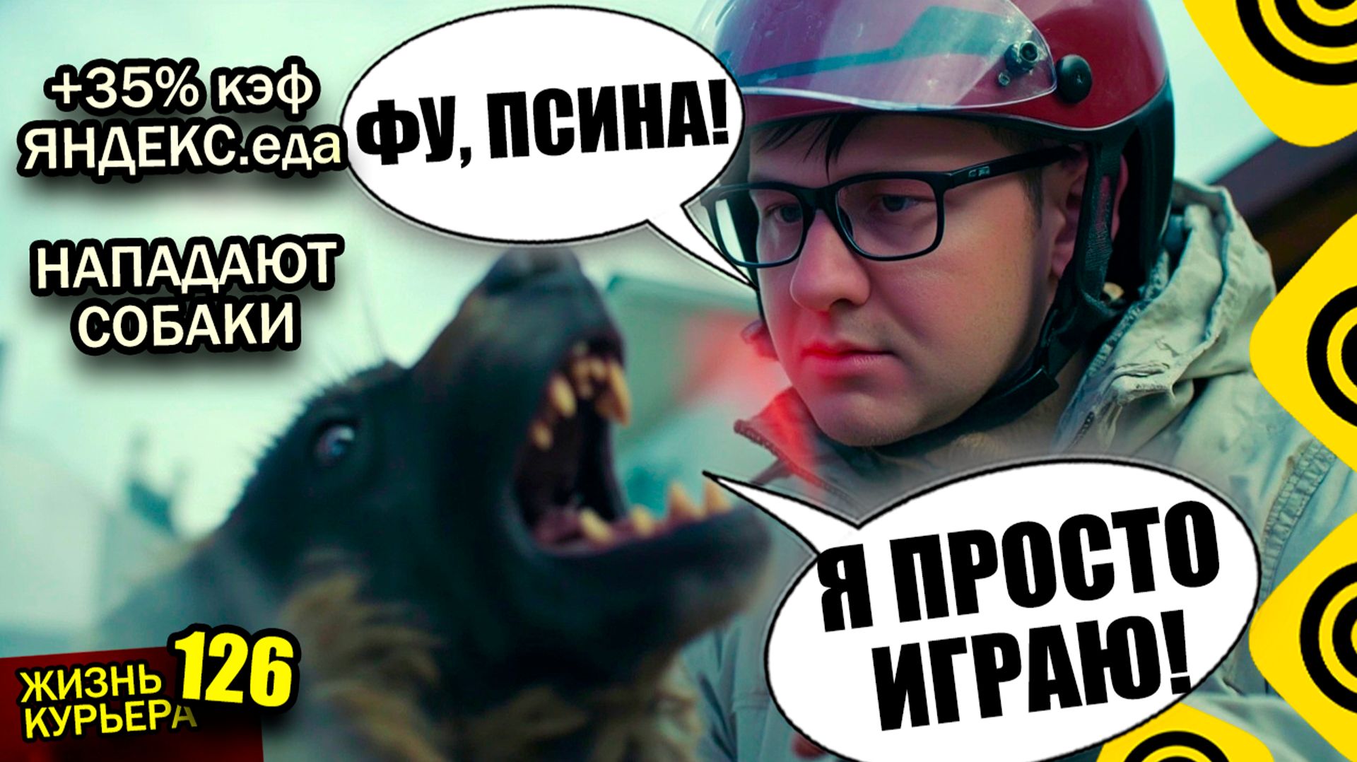 Дали КЭФ +35% в ЯНДЕКС.еда - НАПАДАЮТ СОБАКИ 🐕🦴🌭 【ЖИЗНЬ КУРЬЕРА 126】#Волгоград #яндекс #курьер
