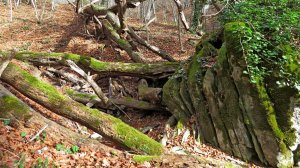 Водопад Хаджи-Палом и его маленькая хранительница!