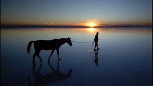 Телецкое. Журавли 2