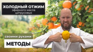 Как сделать эфирное масло апельсина в домашних условиях- простой холодный способ