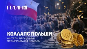 Крысы, беженцы и бюджетные дыры: что происходит в Польше? План Б