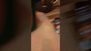 Не сегодня. Креветкоооооо