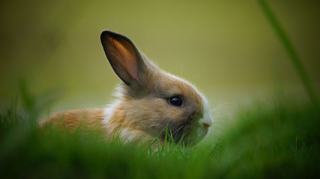 Roblox-но на компе 4