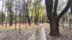 ОДЕССА 20 НОЯБРЯ 2025. ТРАМП ОТПРАВЛЯЕТ ЧИНОВНИКОВ ПЕНТАГОНА В КИЕВ! ПЛАН МИРА ОТ США И РФ. (480p)