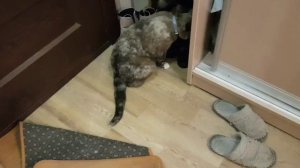 Леся и Сёма - "Это здесь лишнее"!