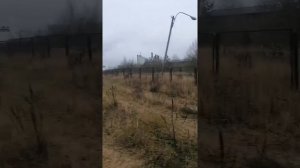 ЛЕНИНГРАДСКАЯ ОБЛАСТЬ _ КИРОВСК video_2025-11-12_МУЗЫКА - МОЙ .... _ Н_С0Ф 8