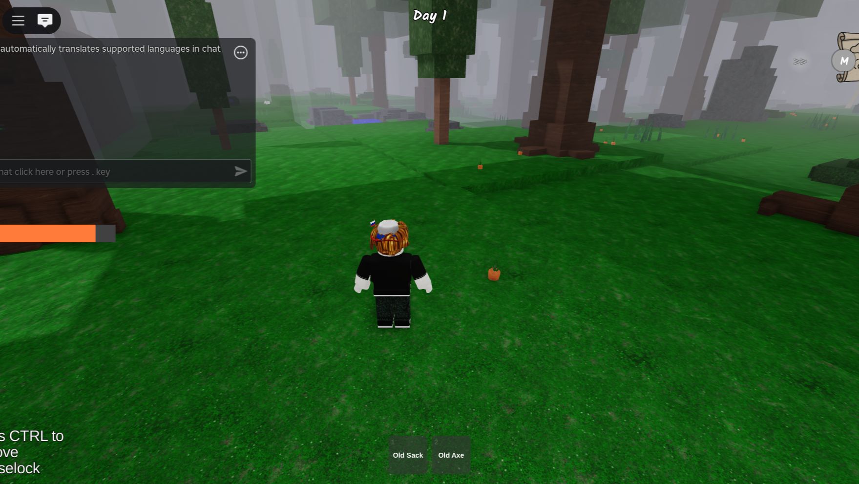 Roblox-2025 н коипе